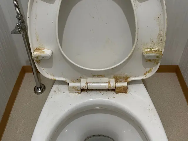 【親切・丁寧】損害保険加入済みで安心◎徹底的にキレイにします！サービスの画像