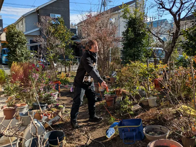 1月新出店◎造園・園芸33年Climbing剪定のArtistです【東久留米市】サービスの画像