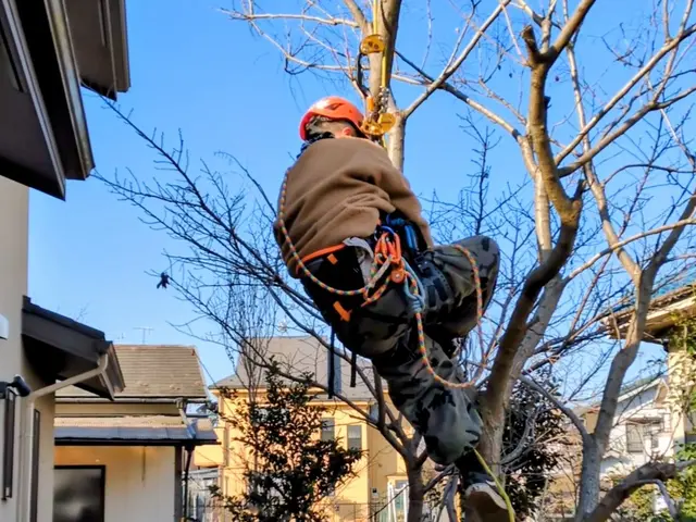 Jan.Debut◎【東久留米市指定庭師27年】・東久留米市小山在住48年。サービスの画像