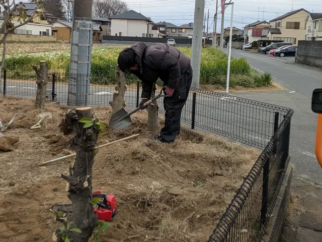 Jan.Debut【東京都指定庭師】・東久留米市在住。匠の技をご堪能ください。サービスの画像