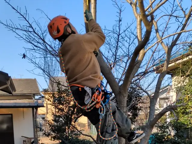 Jan.Debut◎【東久留米市指定庭師27年】・東久留米市小山在住48年。サービスの画像