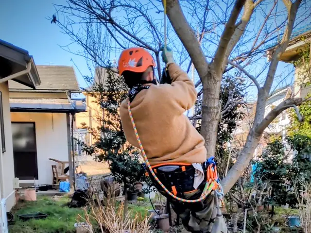 Jan.Debut◎【東久留米市指定庭師27年】・東久留米市小山在住48年。サービスの画像