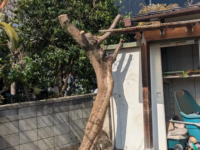 Jan.Debut【東京都指定庭師】・東久留米市在住。匠の技をご堪能ください。サービスの画像