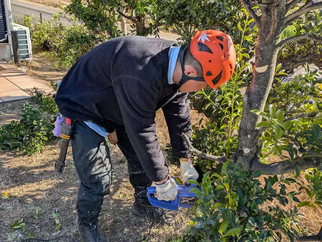 Jan.Debut◎【東久留米市指定庭師27年】・東久留米市小山在住48年。サービスの画像