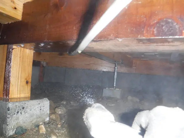 【家にも人にも優しい◎】ホウ酸による劣化対策であなたの不安を駆除します！サービスの画像