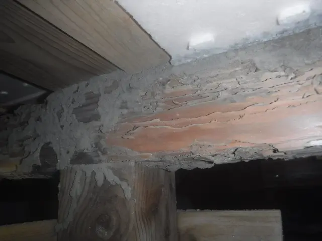 【家にも人にも優しい◎】ホウ酸による劣化対策であなたの不安を駆除します！サービスの画像