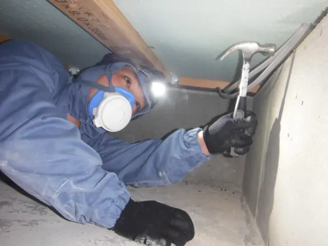 【家にも人にも優しい◎】ホウ酸による劣化対策であなたの不安を駆除します！サービスの画像