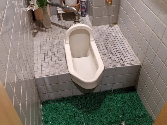 和式トイレを洋式トイレに改修、大掛かりの工事でなく短期なるべく簡素サービスの画像