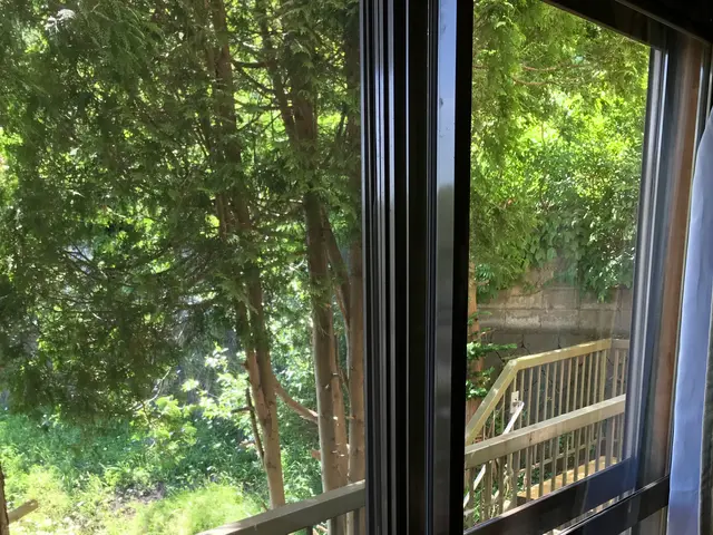 ☆キレイな窓でお部屋も気持ちも明るくなります‼◎女性スタッフ同行可サービスの画像