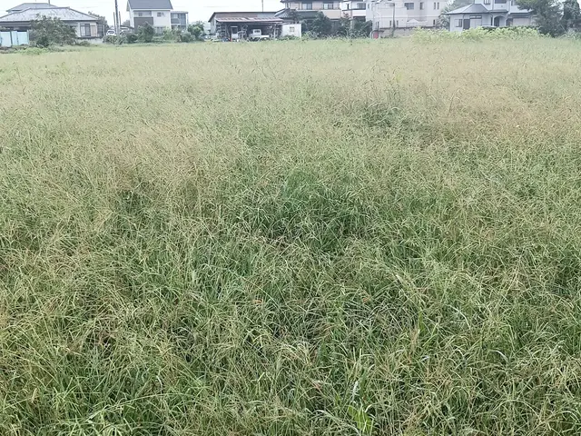 すべて自社対応◎豊富な経験と知識で安心！何でも当店へお任せください！サービスの画像