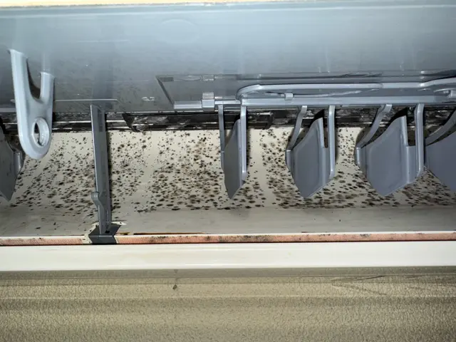 【元Jリーガーがご訪問】セカンドキャリア奮闘中！アスリートの体力と技で快適空間をサービスの画像