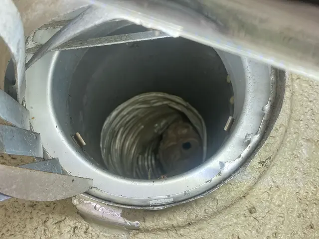 蜂駆除、空巣撤去・屋根裏や壁中の難所も対応しています。サービスの画像