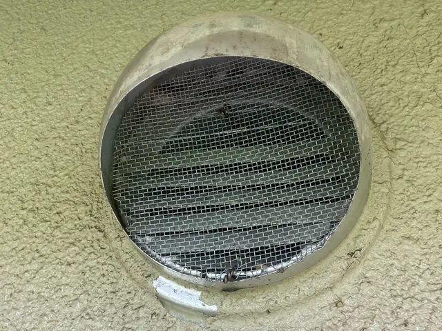 蜂駆除、空巣撤去・屋根裏や壁中の難所も対応しています。サービスの画像