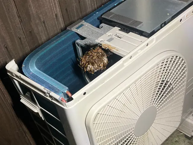 蜂駆除、空巣撤去・屋根裏や壁中の難所も対応しています。サービスの画像