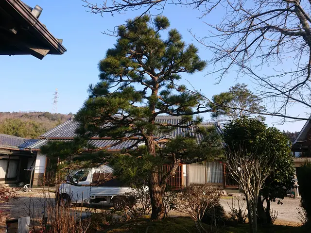 今年いっぱいまでは予約作業のみ。マンション等オーナー様へ無料見積もりお勧めです。サービスの画像