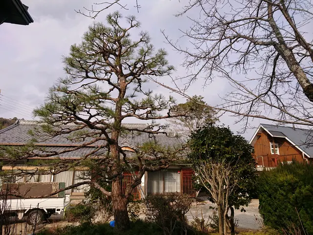 今年いっぱいまでは予約作業のみ。マンション等オーナー様へ無料見積もりお勧めです。サービスの画像