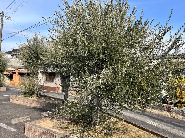 今年いっぱいまでは予約作業のみ。マンション等オーナー様へ無料見積もりお勧めです。サービスの画像