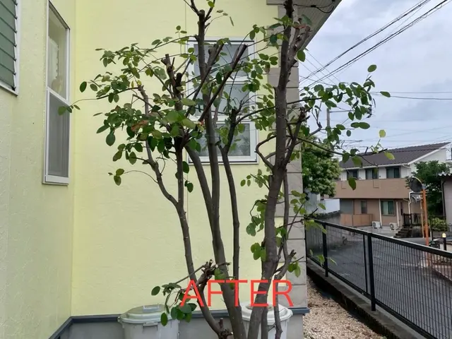 個人宅から店舗まで幅広く対応！将来を見据えた親切丁寧な庭づくりサポートサービスの画像