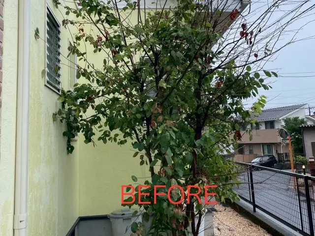 個人宅から店舗まで幅広く対応！将来を見据えた親切丁寧な庭づくりサポートサービスの画像