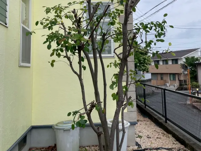 個人宅から店舗まで幅広く対応！将来を見据えた親切丁寧な庭づくりサポートサービスの画像