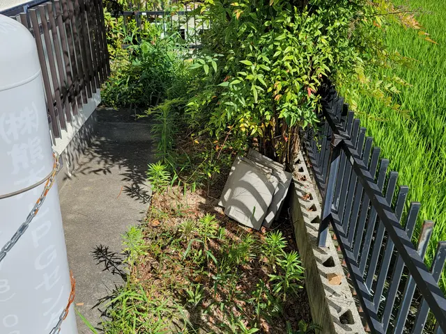 【熊本県限定】草むしりサービスの画像