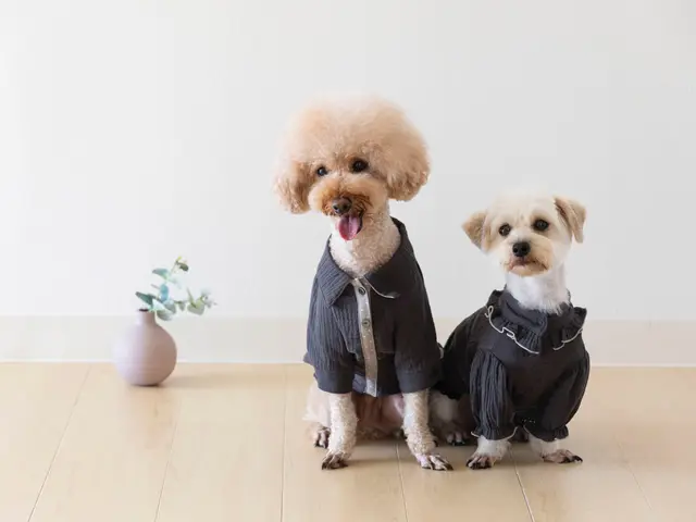 女性カメラマン対応します。