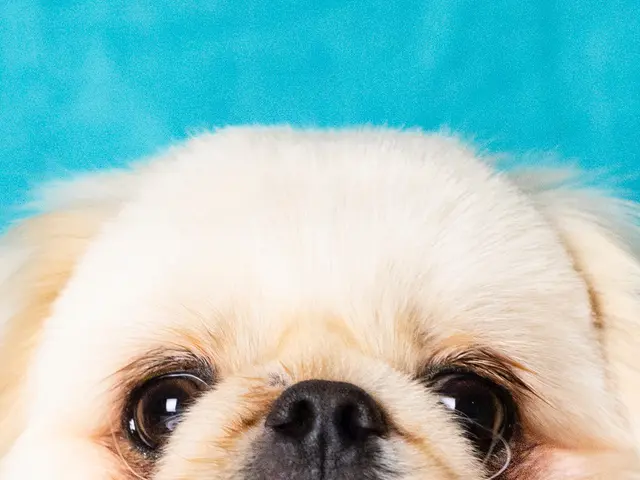 女性カメラマン対応します。