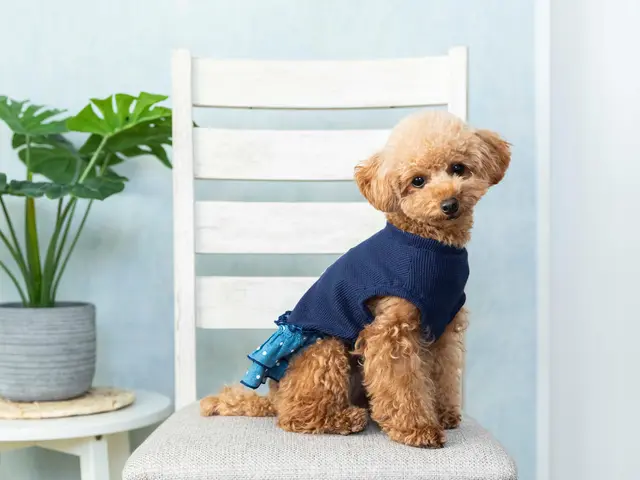 女性カメラマン対応します。