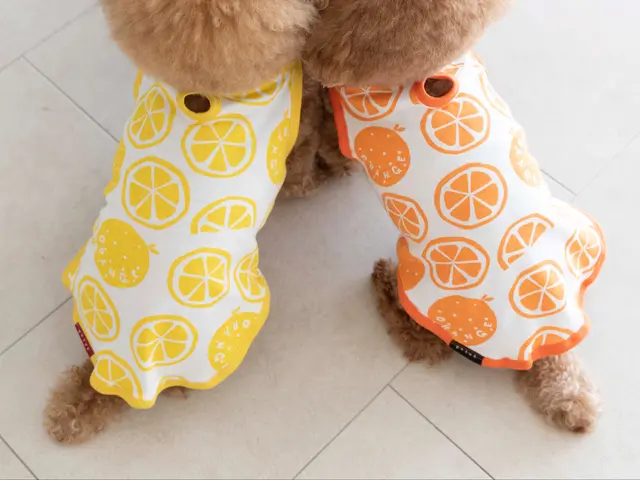 女性カメラマン対応します。