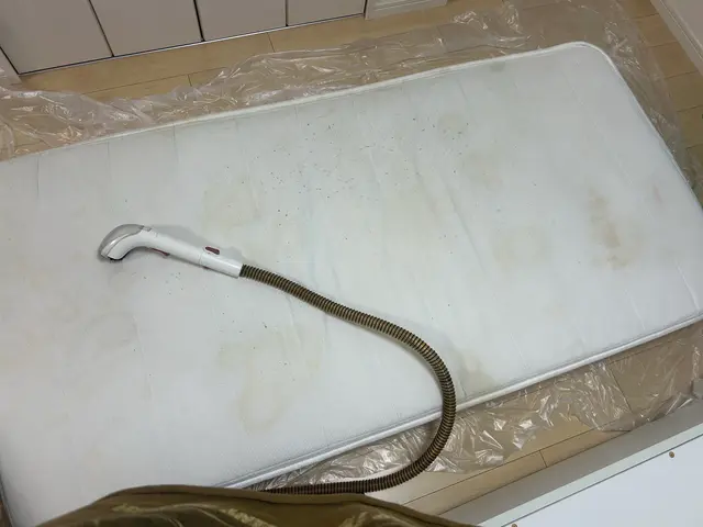 プロのマットレスクリーニングサービスの画像