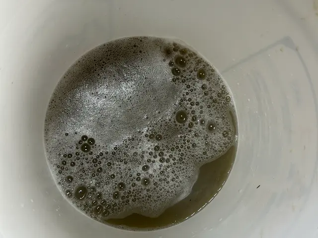 プロのマットレスクリーニングサービスの画像