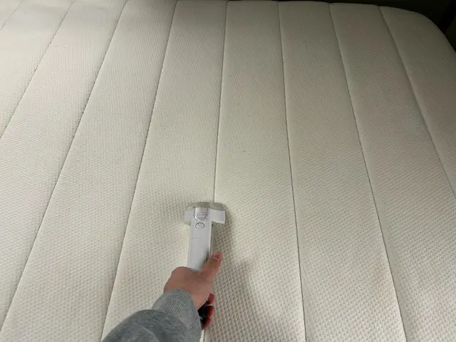 プロのマットレスクリーニングサービスの画像