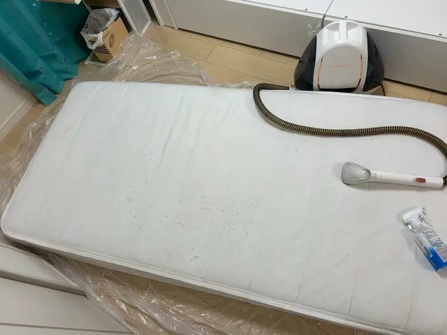 プロのマットレスクリーニングサービスの画像
