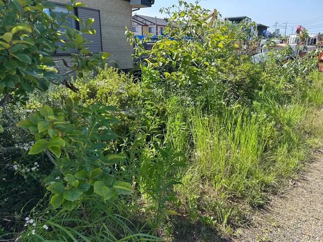 プロの技術でご満足いただけるように心を込めて作業いたしますサービスの画像