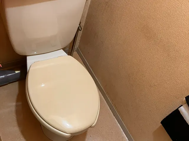 プロの技術でご満足いただけるように心を込めて作業いたしますサービスの画像