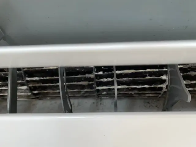 予約可♪【天然植物洗剤使用】♪ペット・お子様も安心♪【損害保険加入済】サービスの画像