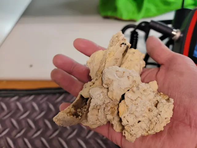 ★即日・夜間対応可★お急ぎの方は、お問い合わせよりご連絡ください！！サービスの画像