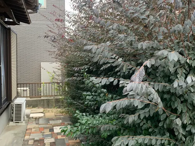 2月新出店◎30年以上の実績　一級造園施工管理技士｜造園全般◎庭づくり◎【京都郡サービスの画像