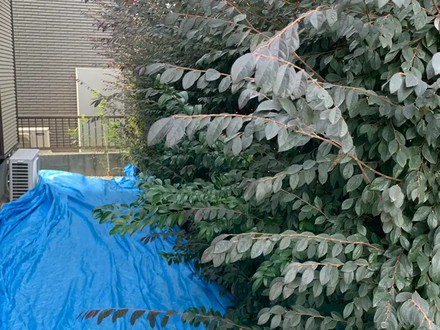 2月新出店◎30年以上の実績　一級造園施工管理技士｜造園全般◎庭づくり◎【京都郡サービスの画像