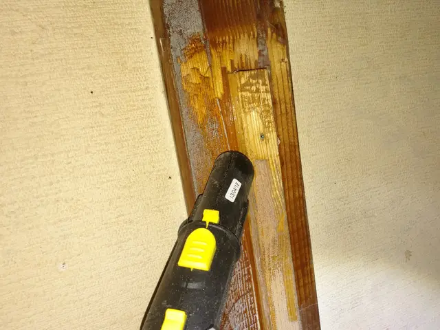 いすみ市から伺います！トコジラミ駆除実績200件以上！作業外注一切ありません。サービスの画像