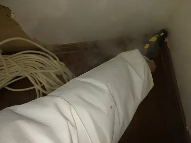 いすみ市から伺います！トコジラミ駆除実績200件以上！作業外注一切ありません。サービスの画像