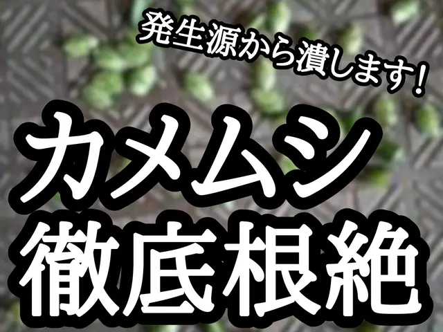 《最短即レス即日対応》納得価格の徹底施工！その他の不快害虫までついでに予防しますサービスの画像