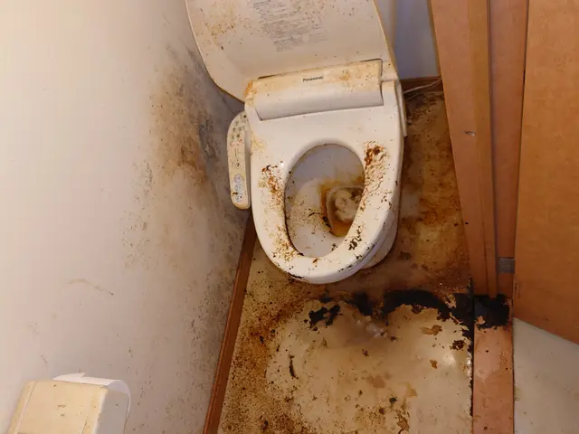 【沖縄県】★カビ対策W洗浄■エコ洗剤使用◎健康を第一に誠心誠意対応いたします！サービスの画像