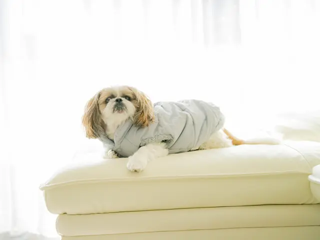 笑顔を引き出す、心に残る瞬間をカタチに！