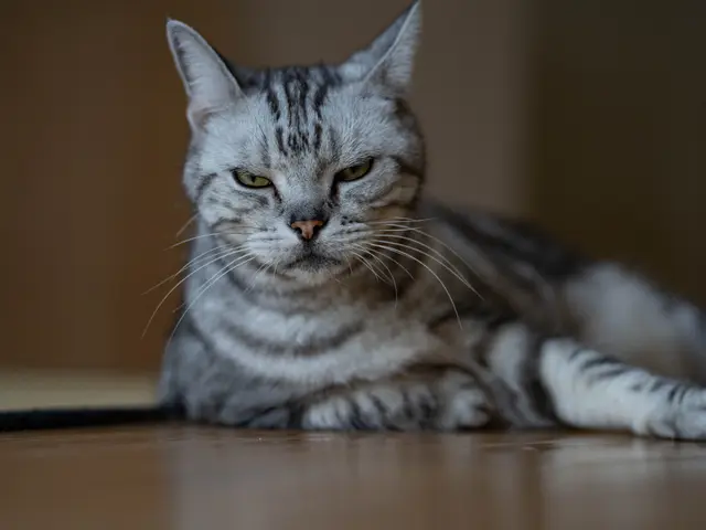 笑顔を引き出す、心に残る瞬間をカタチに！