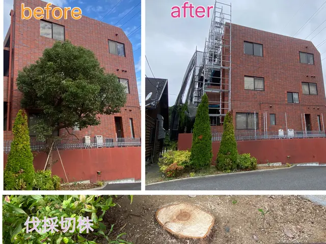 大きくなり過ぎた庭木もお気軽にご相談下さいサービスの画像