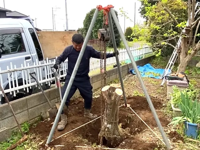 大きくなり過ぎた庭木もお気軽にご相談下さいサービスの画像