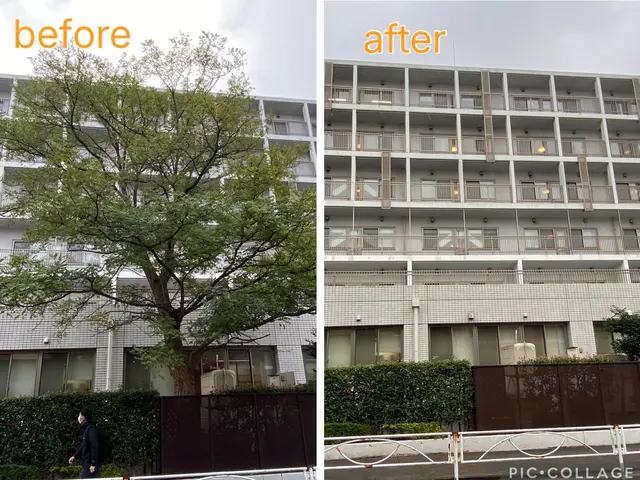 大きくなり過ぎた庭木もお気軽にご相談下さいサービスの画像