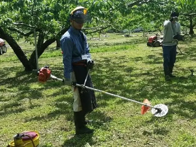 農家歴20年プロの技術でご満足いただけるように心を込めて作業いたしますサービスの画像