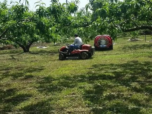 農家歴20年プロの技術でご満足いただけるように心を込めて作業いたしますサービスの画像